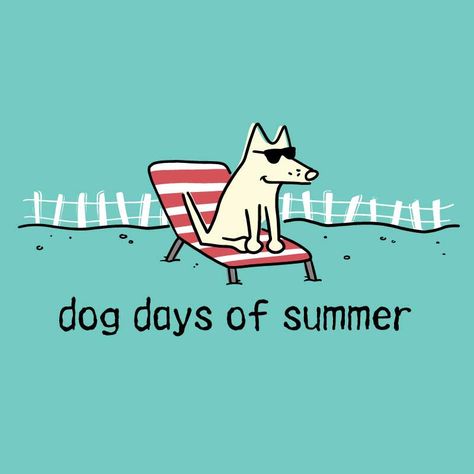 Dog Funny Illustration, Beach Dog Illustration, Animals At The Beach Illustration, Cat Surfing Illustration, Dogs Surfing, Office Board, Cat Summer, Watch Wallpapers, Beach Dog