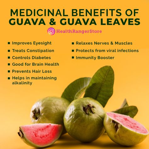 Guava aids the body and the brain Guava Tea Benefits, Guava Benefits, Guava Leaves, Guava Fruit, Guavas, Turmeric Benefits, Tea Benefits, Diet Nutrition, Diet Keto