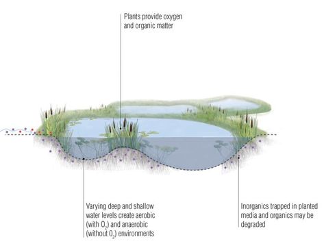 Utilizing an innovative phytoremediation approach, the project reduces phosphorus loading, heavy metals, and other nutrient concentrations in the Charles River Watershed with a gravel wetland. #Offshoots #KateKennen #PHYTO #Phytoremediation #LandscapeArchitecture #GreenInfrastructure #Public #Streetscapes #Constructedwetland Location: Boston and Cambridge, MA Photos: Ngoc Doan Deep Ecology, Wetland Park, Linear Park, Site Analysis, Cambridge Ma, Charles River, Pond Design, Landscape Concept, Diagram Architecture