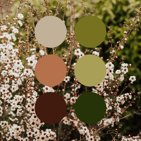 6 set color palette circles in burgundy, cream, peach, dark green, hunter green, and light green— shades are inspired by and set on top of a photograph of creamy white and peach tiny flowers with green-toned plants in background. Colour Palette Cottagecore, Cottage Core Wedding Colors, Garden Color Scheme Colour Palettes, Late Summer Wedding Palette, 70s Cottage Core Aesthetic, Cottagecore Palette Color, Greenhouse Color Palette, Cottage Core Pallete Color, Cottage Core Colour Pallete