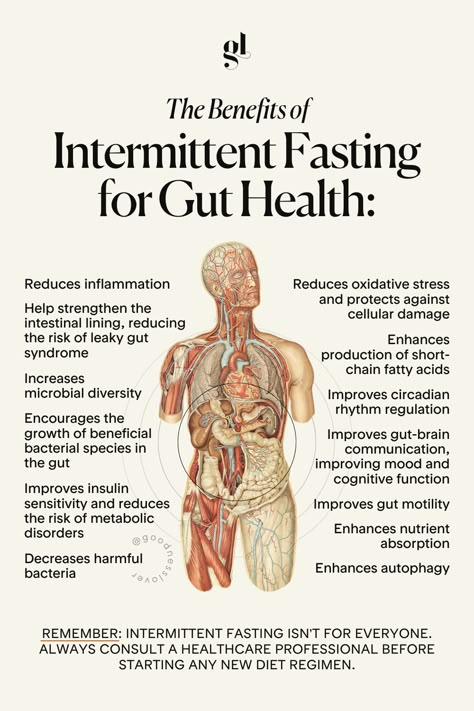 🕰️ Intermittent Fasting: A Time-Out for Your Gut? 🦠   Ever wondered what happens to your gut when you skip a meal?  Skipping meals can boost your microbiome diversity, promote beneficial bacteria, and reduce inflammation.    ⏱️ Popular IF Methods: • 16/8 (16 hours fasting, 8 hours eating window) • 5:2 (5 normal days, 2 low-calorie days) • Eat-Stop-Eat (24-hour fasts 1-2 times/week) 🚨 Remember: IF isn't for everyone. Always consult a healthcare professional before starting new diet regimen. Benefits Of Intermittent Fasting, 16/8 Fasting, 24 Hour Fast, Diet Regimen, Holistic Diet, Stomach Problems, Health Heal, Beneficial Bacteria, Holistic Nutrition