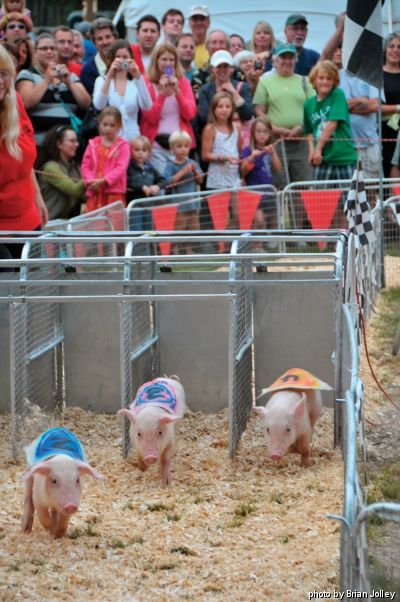 Bloomsburg Fair, Pig Races, Food Games, Country Fair, Carnival Rides, The Vineyard, Three Little Pigs, Honky Tonk, County Fair