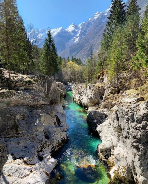 Alpine Forest, Slovenia Travel, Julian Alps, Big Lake, Lake Trip, Fishing Adventure, Weekend Trips, Travel Inspo, Slovenia