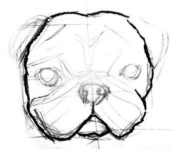 How to draw Pug head and face Pug Drawing Sketches, How To Draw A Pug, Pug Face Drawing, Head And Face Tutorial, Pug Dog Drawing, Pugs Drawing, Draw A Pug, Pug Sketch, Dog Sketching