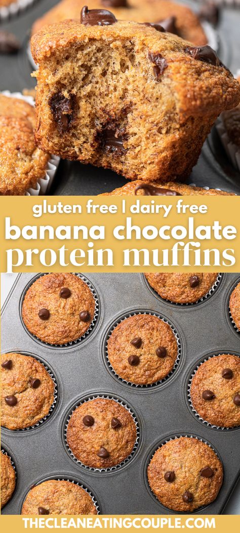 These Banana Chocolate Protein Muffins (Gluten Free | Dairy Free) are the perfect nutritious breakfast! Gluten/dairy free and packed with protein, they're delicious + easy to make! Great for kids and adults - these gluten free muffins are easily customized and so yummy! Paleo Protein Banana Muffins, Gluten Free Banana Protein Muffins, Gf Protein Muffins, Dairy Free Protein Muffins, Gluten Free High Protein Breakfast, Protein Muffins Gluten Free, Gluten Free Muffins Healthy, Protein Banana Muffins, Gluten Free Protein Muffins