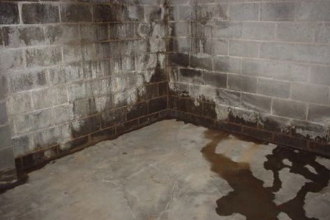 Sealing Basement Walls, Waterproofing Basement Foundation, Waterproofing Basement Walls, Leaky Basement, Basement Repair, Leaking Basement, Dry Basement, Wet Basement, Diy Basement