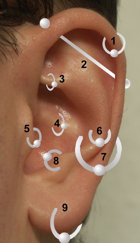 piercings-oreja Piercings Corps, Ušný Piercing, Piercing Snug, Piercing Face, Different Ear Piercings, Ear Peircings, Piercing Chart, Piercing Conch, Types Of Ear Piercings