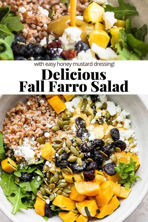 Farrow Salad Recipes, Faro Salad Recipes, Farrow Salad, Faro Salad, Fall Farro Salad, Farro Salad Recipes, Fall Salads, Farro Recipes, Veg Meals