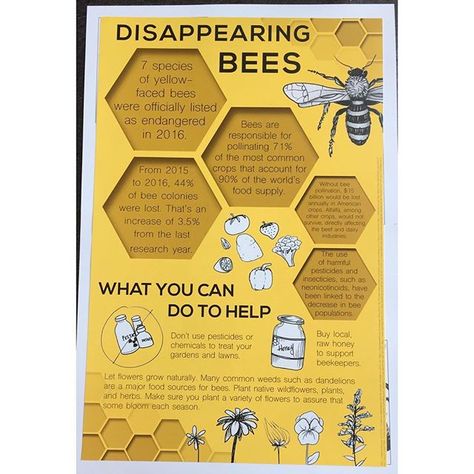 Honey Bee Infographic, Bee Infographic Design, Bees Infographic, Bee Infographic, Infographic Art Design, Honey Bee Facts, Bee Poster, Scientific Poster, Honey Logo