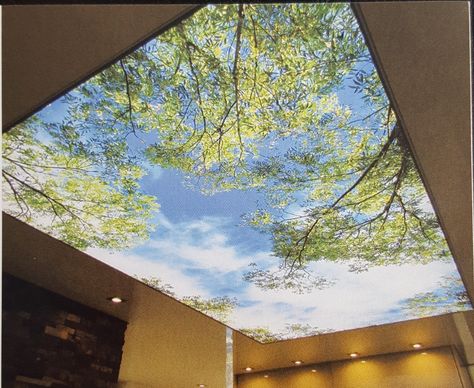 Transparent Ceiling Design, River Rock Bathroom, Coastal Environment, Loft Ceiling, Bungalow Interior, Healthcare Interior Design, Corporate Interior Design, Geometric Living Room, Fitness Boutique