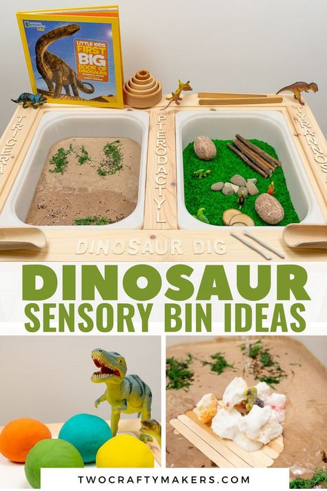 Dinosaur Sensory Bin, Dinosaur Sensory, Sensory Bin Ideas, Sensory Tubs, Sensory Dough, Dinosaur Play, Sensory Art, Dinosaur Theme Party, Dinosaur Eggs