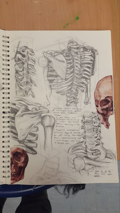 Tattoos For Women Thigh, Essay About Yourself, Writing A Research Paper, Sketchbook Layout, Paper Writer, Moleskine Art, Gcse Art Sketchbook, A Level Art Sketchbook, Human Bones