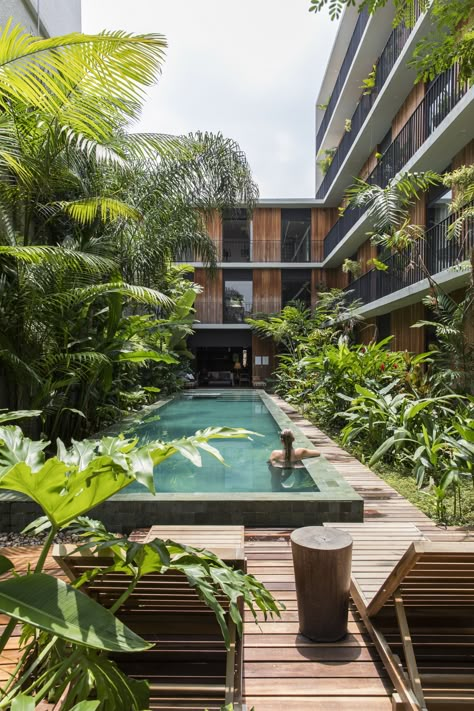 Hotel Design Architecture, Hotel Landscape, Boutique Hotels Design, Best Home Interior Design, Hotel Exterior, Tropical Architecture, Hotel Architecture, Hotel Branding, Hotel Transylvania