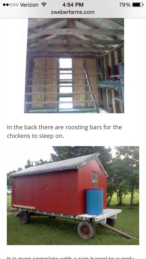 Chicken house on wheels for pasturing during the summer Goat Pen, Chicken Poop, Pen Ideas, Chicken Keeping, Chicken Tractor, Backyard Chicken Farming, Coop Ideas, Diy Chicken, Cute Goats