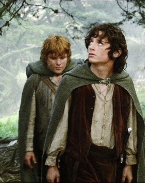 Sam and frodo Hobbit Costume, Lord Of Rings, Samwise Gamgee, Concerning Hobbits, Frodo Baggins, Into The West, Elijah Wood, The Two Towers, Fellowship Of The Ring