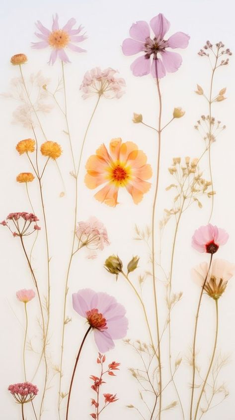 Real pressed pastel flowers pattern petal plant. | premium image by rawpixel.com / chu_chutima Pressed Flowers Aesthetic, Flowers Png Hd, Iphone Screen Lock, Collage Text, Spring Flowers Background, Wallpapers 2023, Wildflower Paintings, Screen Lock, Pretty Phone Wallpaper