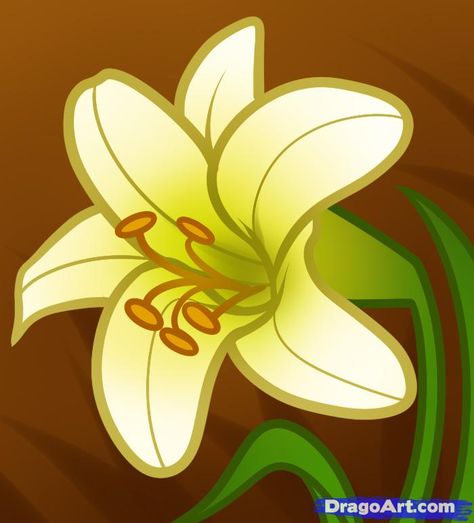 how to draw an easter lily Lily Flower Drawing, Easter Lily Flower, Different Types Of Lilies, Lily Drawing, Realistic Dragon, Lilies Drawing, Lupine Flowers, Flower Pedals, Botanical Drawing