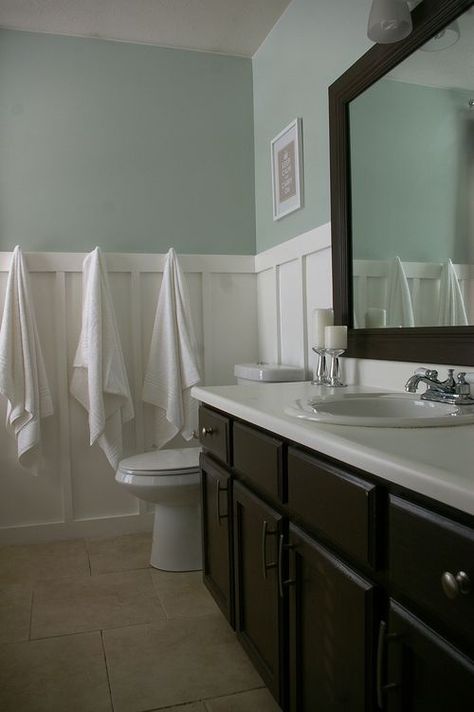 Sherwin Williams Sea Salt-love this color. Love the white wainscotting and dark vanity and mirror. Guest Bathroom Colors, Relaxing Ideas, Sherwin Williams Sea Salt, Fresh Bathroom, Fancy Bathroom, Wainscoting Bathroom, Cozy Bathroom, Master Bathrooms, Great Bathrooms