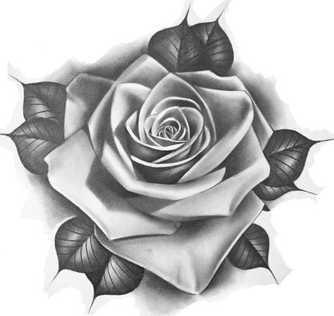 Roses Tattoo Design Drawing, Pink Tattoo Flash, Tattoo Designs Rose, Art Drawings Tattoo, Ink Tattoo Design, Tattoos For Dad Memorial, Rose Tattoo Stencil, Rose And Butterfly Tattoo, Red Tattoo Ideas