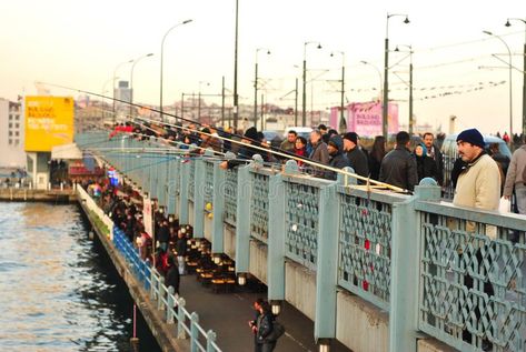 Galata Bridge, Bridge Model, Golden Horn, Illustration Fashion, A Bridge, Istanbul Turkey, Image Photography, Editorial Photography, Design Illustration