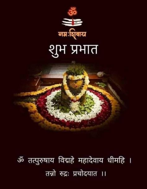 Katyani Devi, Maha Ashtami, Best Good Morning Quotes, शुभ सकाळ, Good Morning In Hindi, Good Night Qoutes, Lord Shiv, Good Morning Krishna, Monday Morning Quotes