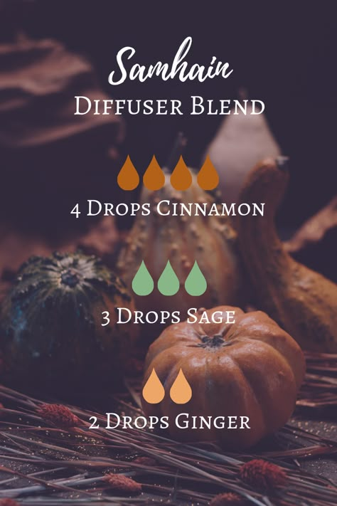 Samhain Essential Oil Diffuser Blend | The Modern Witch's Guide to Samhain online course Essential Oils For Litha, Samhain Recipes, Helichrysum Essential Oil, Essential Oil Diffuser Blends Recipes, Aol Mail, Essential Oil Diffuser Recipes, Oil Diffuser Recipes, Essential Oil Blends Recipes, Essential Oil Mixes