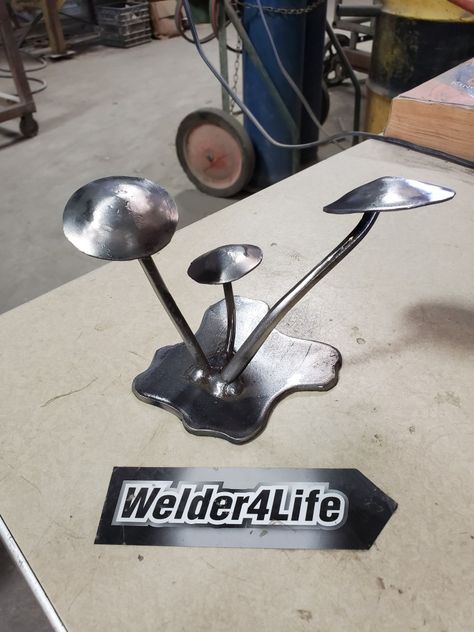 Welded Mushrooms, Mushroom Metal Art, Welding Women, Metal Mushroom, Psilocybin Mushrooms, Cool Welding Projects, Metal Ideas, Welding And Fabrication, Welding Art Projects