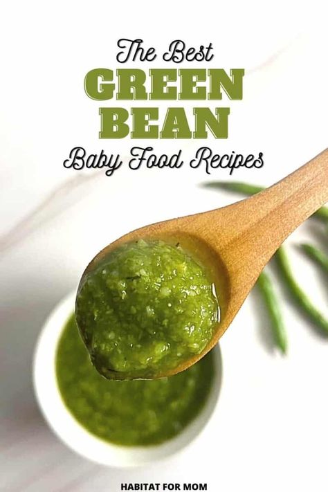 Simple Green Bean Baby Food Recipes Green Beans Baby Food, Green Bean Puree, Beans For Babies, Green Bean Baby Food, Green Beans Soup, Seasoned Green Beans, Baby Food Recipe, Baby Food Combinations, Cooking Fresh Green Beans