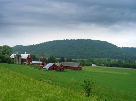 Red barns Feed Animals, Animal Agriculture, Country Barns, Farm Barn, Dairy Farms, Food Choices, Red Barns, Old Barns, Earth Friendly