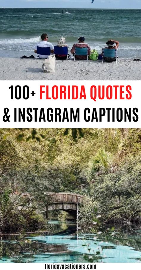 Visiting Florida or even moving to Florida? Check out the best Florida Instagram captions & quotes to get acquainted with the Sunshine State. In this post you will find funny Florida Instagram captions, cute Florida Instagram captions, inspirational Florida Instagram captions and quotes perfect for Instagram as well as quotes for different areas of Florida like Orlando, Florida keys | cute florida beach instagram captions | florida puns | florida sayings | funny florida captions #floridaquotes Florida Instagram Captions, Instagram Captions Cute, Florida Quotes, Beach Instagram Captions, Florida Parks, Florida Adventures, Beach Instagram, Florida Destinations, Florida Springs