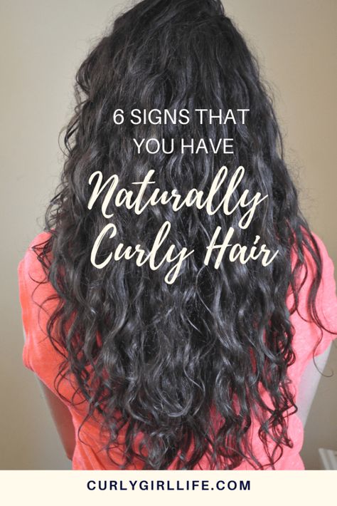 6 Signs That You Have Naturally Curly Hair (Surprise!) - Curly Girl Life Bump Hairstyles, Dark Curly Hair, Naturally Curly Hair, Curly Hair Updo, Hairdos For Short Hair, Curly Girl Method, Curly Hair Inspiration, Curly Hair Routine, Curly Hair With Bangs