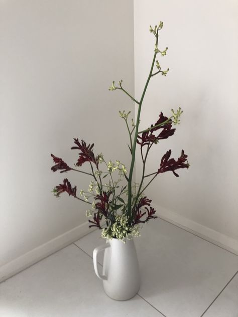 Kangaroo paw in a fresh flower arrangement. Kangaroo Paw Flower Arrangement, Kangaroo Paw Flower, Fresh Flower Arrangement, Kangaroo Paw, Fresh Flowers Arrangements, Future Apartment, Wedding Aesthetic, Fresh Cut Flowers, Fresh Flower