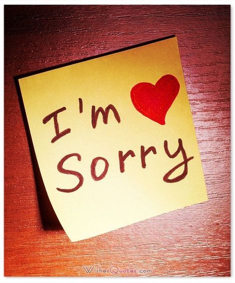 So Sorry, I'm Sorry, Quotes