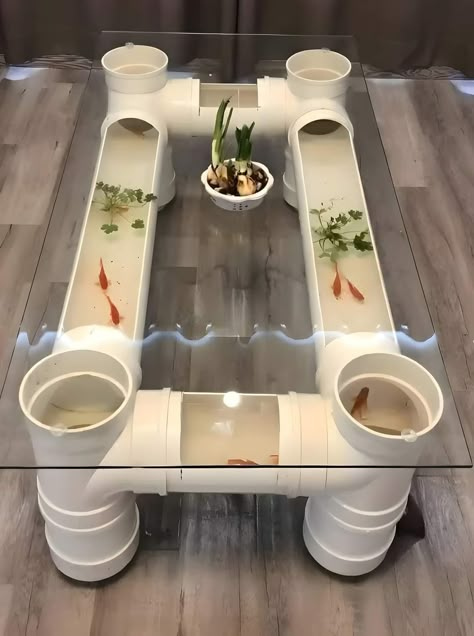 Fishes In Aquarium, Fish Tank Coffee Table, Aquarium Diy, Amazing Aquariums, Home Aquarium, Diy Coffee Table, Aquarium Decorations, Aquarium Fish Tank, Diy Vase