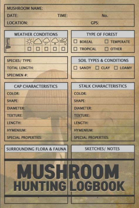 Everyday Notebook in Your Everyday Life Mushroom Names, Mushroom Picking, Types Of Forests, Mushroom Foraging, Mushroom Hunting, Wild Mushroom, Sketch Notes, Field Notes, Wild Mushrooms