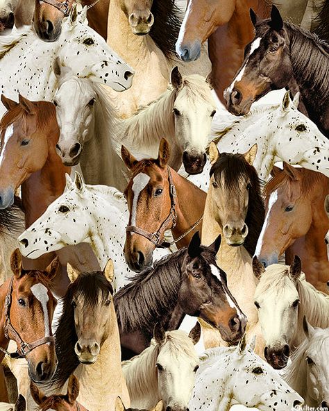 One of a Kind - Unique Horses - Natural - DIGITAL PRINT - Quilt Fabrics from www.eQuilter.com Horse Brushes, White Sewing Machine, Cowboy Quilt, Medical Wallpaper, Horse Fabric, Horse Wallpaper, Horse Artwork, Horse Pattern, Western Aesthetic