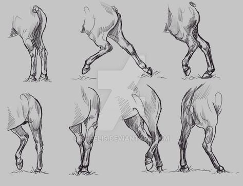 Horse Legs Drawing, Horse Leg Anatomy, Legs Anatomy, Horse Drawing Tutorial, Legs Drawing, Drawing Horses, Horse Art Drawing, Drawing Legs, Horse Sketch