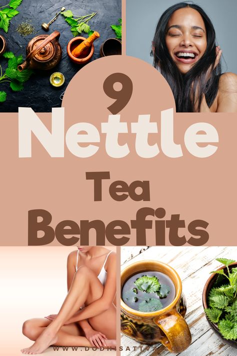 Discover 9 in depth nettle tea benefits in this post as well as medicinal and yummy recipes utilizing fresh and dried nettles. Learn ways to use nettles as tea infusions, tinctures, topically for hair growth, skin issues like eczema. We cover how studies show promising results for using nettle tea for prostate issues, arthritis and pregnancy and fertility challenges. Nettle Tea Benefits Fertility, Nettle Tea Benefits Women, Nettle Tincture Benefits, Stinging Nettle Tincture, Benefits Of Stinging Nettle, Tincture Benefits, Nettle Tea Benefits, Benefits Of Nettle, Nettle Benefits