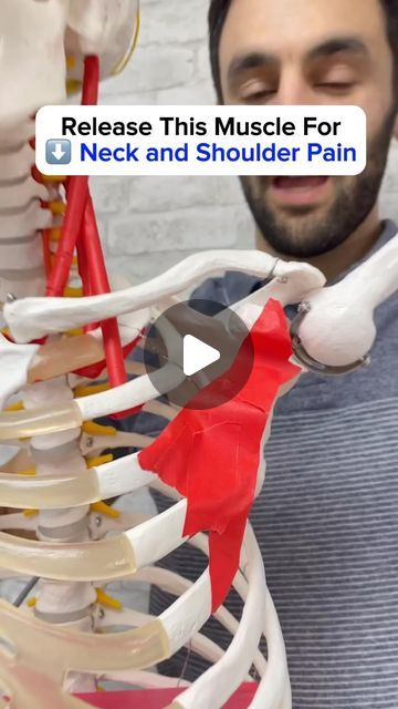 Shoulder Mobility Exercises, Neck Pain Exercises, Shoulder Rehab, Shoulder Impingement, Neck Muscles, Arm Stretches, Nerve Pain Relief, Neck Pain Relief, Neck And Shoulder Pain