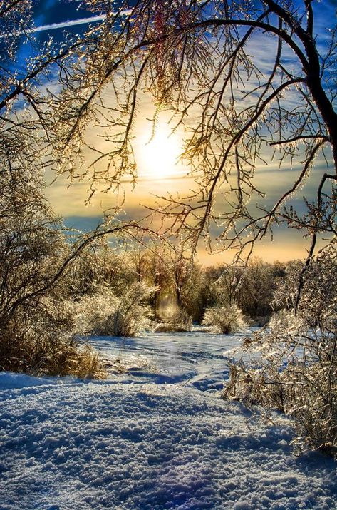 Country Morning, Winter Sunrise, Falling Snow, Scenery Pictures, Winter Sunset, Morning Sunrise, Winter Painting, Winter Scenery, Winter Beauty