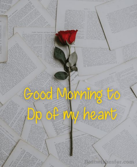 Good Morning Messages For Love | Best Wishes Gud Morning Wishes, Morning Wishes For Lover, Good Morning My Sweetheart, Love Morning, Gud Morning, Special Good Morning, Good Morning Love Messages, Morning Message, To My Love