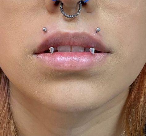 Piercings Y2k, Angel Fangs Piercing, Fangs Piercing, Angel Fangs, Angel Bites Piercing, Upper Lip Piercing, Mouth Piercings, Ad Infinitum, New Piercing