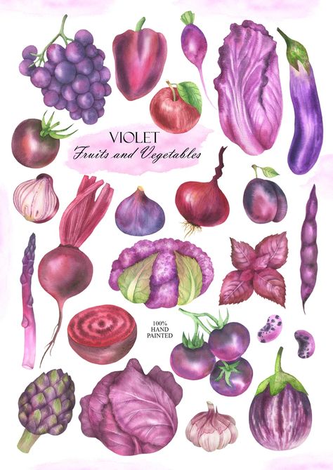 Watercolor Violet Fruit and Vegetables Clipart Farm and - Etsy Ukraine Violet Food, Watercolor Vegetables, Vegetable Art, Food Watercolor, Watercolour Vegetables, Vegetables Watercolor, Watercolor Fruits And Vegetables, Purple Fruits And Vegetables, Watercolor Paintings Of Fruits And Vegetables