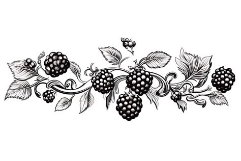 Berry blackberry graphics pattern.  | premium image by rawpixel.com / Hein Black And White Raspberry Tattoo, Berries Drawing, Blackberry Tattoo, Baroque Tattoo, Blackberry Bush, White Raspberry, Graphics Pattern, Leaf Drawing, Fruit Pattern