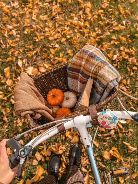 #fall #autumn #fallfashion #aesthetic #cozy #autumnvibes Autumn Bike Aesthetic, Fall Bike Ride Aesthetic, Autumn Car Aesthetic, Aesthetic Bikes With Basket, Guitar Autumn Aesthetic, Fallfashion Aesthetic, Light Academia Aesthetic, Aesthetic Cozy, Dark Academia Aesthetic