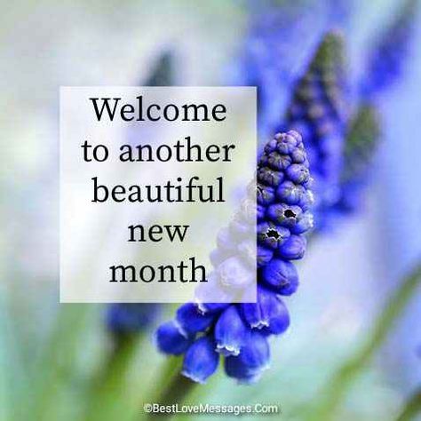 80 Happy New Month Messages and Prayers - July 2020 - Relish Bay Welcome September Images, Happy New Month September, New Month Messages, Happy New Month Prayers, New Month Greetings, Happy New Month Messages, Happy New Month Quotes, New Month Wishes, September Images