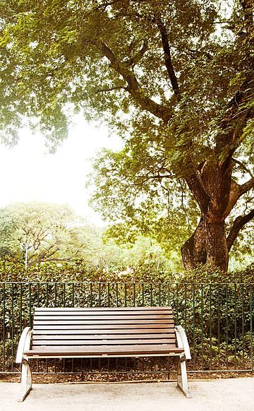 nobody,scenery,seat,wood,tree,empty,view,forest,resting,outdoor,colorful,solitude,old,scenic,country,wooden,light,alone,quiet,tranquility,leisure,lonely,sit,natural,day,grass,rest,nature,peaceful,bench,relax,park,scene,outside,green,beautiful,garden,vertical,serene,brown,calm,peace,chair,yellow,relaxation,landscape,tranquil Sitting Background, Nature Peaceful, Park Scene, Garden Vertical, White Camera, Summer Banner, Cool Desktop, Psd Background, Fire Flower