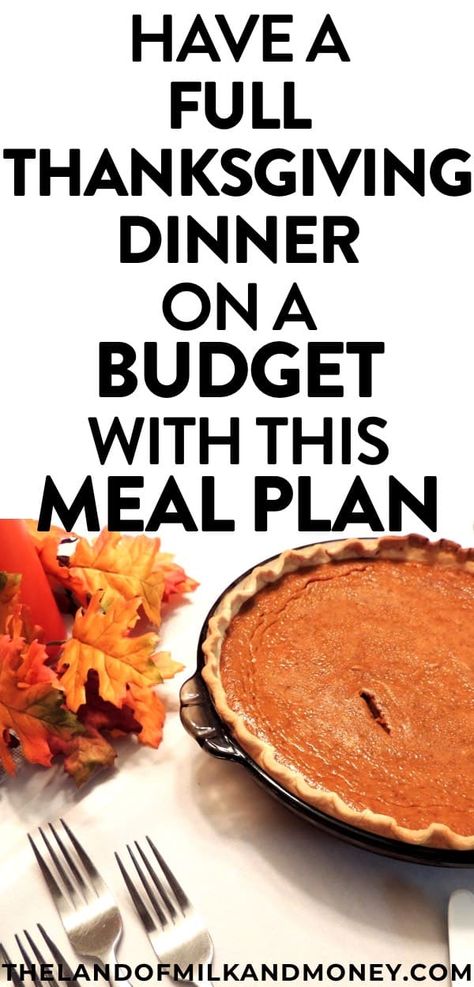 Simple Thanksgiving Dinner, Easy Thanksgiving Dinner, Budget Dinner, Simple Thanksgiving, Thanksgiving Dinner Recipes, Thanksgiving Dinner Table, Budget Meal Planning, Dinner On A Budget, Healthy Recipes On A Budget