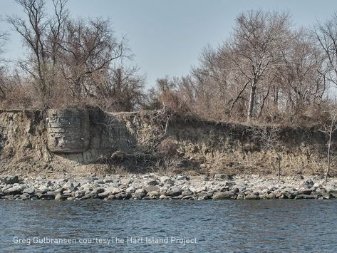 Erosion on Hart Island Exposes Human Remains | WNYC News | WNYC Hart Island, Human Remains, Raise The Dead, Island Life, Live Streaming, Cemetery, Road Trips, The Dead, Grand Canyon