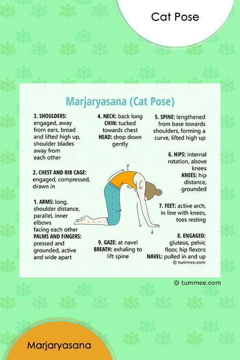 Learn and teach your students about Cat Pose (Search “tummee Cat Pose" on Google) Level | Beginner Position | Sitting Type | Forward-Bend, Bidalasana is also called Marjariasana, this name comes as the body resembles the cat, while it stretches rounding its back. It benefits the muscles of the Lower Back, Middle Back, and Neck. #tummeeyoga #yogaapp #yogasequencebuilder #yogaexercise #yogalessons #yogaseries #yogaasana #catpose Cat Pose Yoga, Warm Up Yoga, Restorative Yoga Sequence, Cat Cow Pose, Cat Cow, Forward Bend, Cow Pose, Yoga Lessons, Sanskrit Words